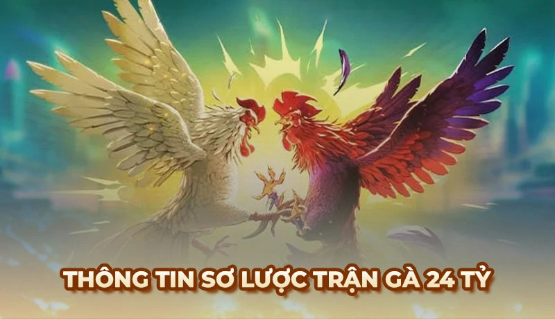 Thông tin sơ lược về trận đá gà 24 tỷ lịch sử
